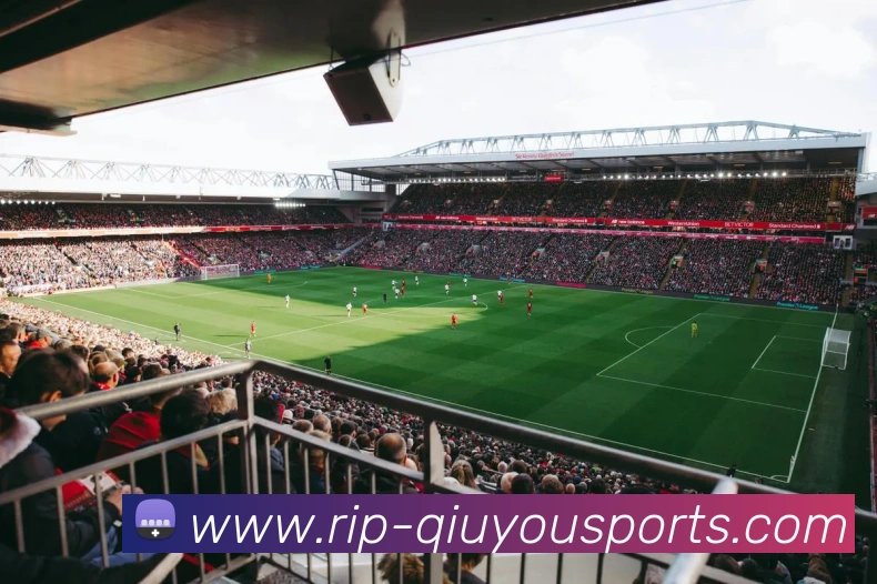 多媒体互动体验